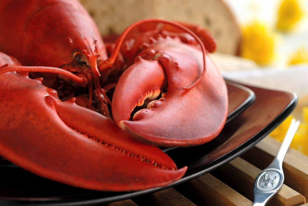 How To Prepare Maine Lobsters The Local Way Legacy Properties